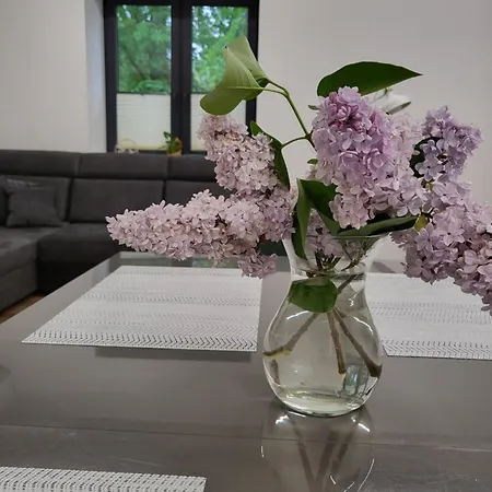 Apartmán Przestronny Luksusowy Apartament, Klimatyzacja, Duzy Parking, Zameldowanie 24h, 2 Sypialnie, Salon, Kuchnia, Pralnia, Monitoring, 95mkw